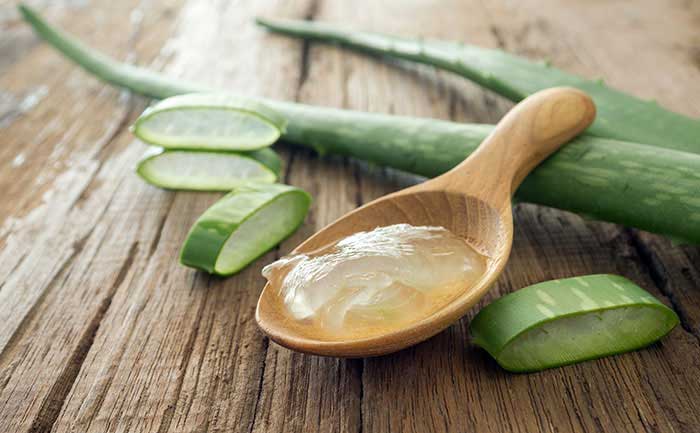 aloe-vera-pesotvani-a-ucinky